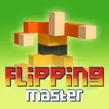 Flipping Master
