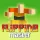 Play Flipping Master now!