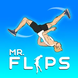 Mr Flip